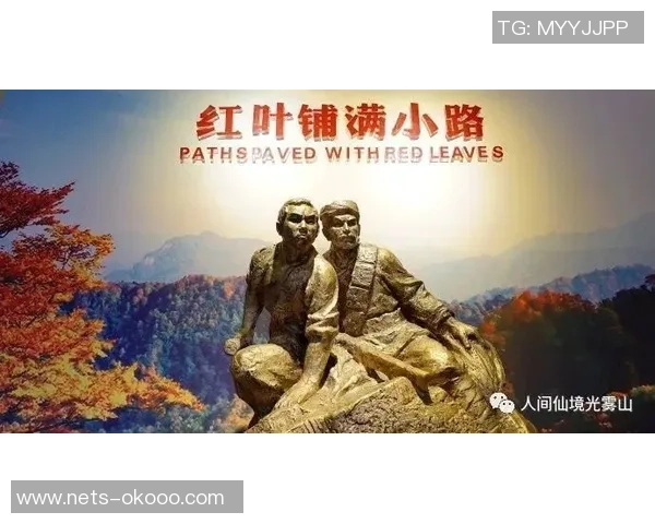 年轻人如何在贝游击中找到自我价值与成长机会的探索之旅